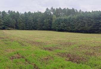 Działka sprzedaż Stoczek Stare Lipki  55100 mkw Działka Sprzedam mazowieckie Stoczek Stare Lipki-1