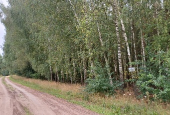 Działka sprzedaż Stoczek Stare Lipki  55100 mkw Działka Sprzedam mazowieckie Stoczek Stare Lipki-2