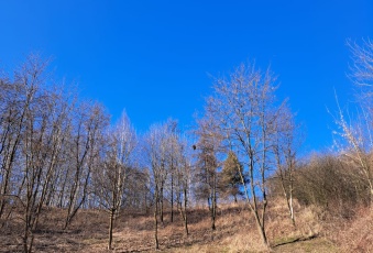 Działka na sprzedaż Kocmyrzów-Luborzyca  834374