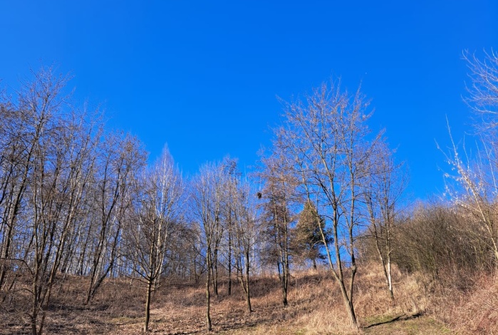 Działka na sprzedaż w Kocmyrzów-Luborzyca  Miodowa, Wysiołek Luborzycki o powierzchni 1730 mkw