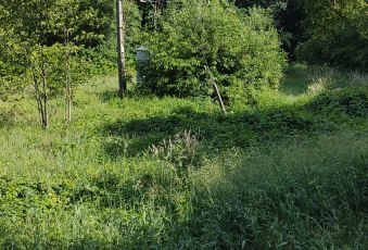 Działka sprzedaż Długosiodło Ostrykół Włościański Brak 9371 mkw Działka Sprzedam mazowieckie Długosiodło Ostrykół Włościański-2