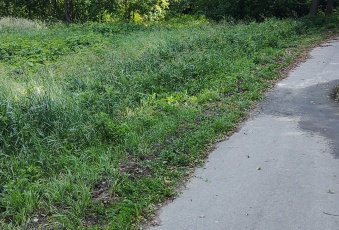 Działka sprzedaż Długosiodło Ostrykół Włościański Brak 9371 mkw Działka Sprzedam mazowieckie Długosiodło Ostrykół Włościański-3