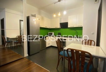 Mieszkanie wynajem Warszawa Wola Jana Kazimierza 60 56 mkw Mieszkanie Wynajmę mazowieckie Warszawa Wola-1