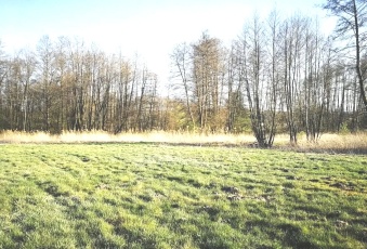 Działka Sprzedam mazowieckie Pniewy Jeziora-2