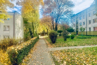 Mieszkanie sprzedaż Katowice Koszutka Brzozowa 63 mkw Mieszkanie Sprzedam śląskie Katowice Koszutka-2