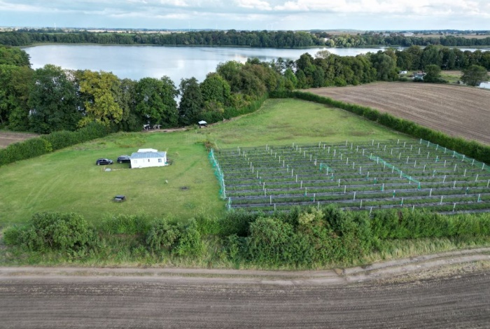 Działka na sprzedaż w Trzcińsko-Zdrój  Tchórzono  działka  8/5 o powierzchni 12500 mkw