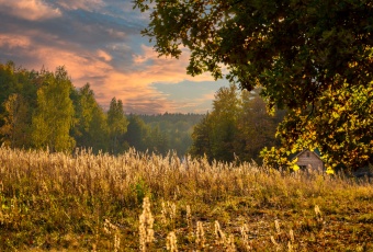 Działka na sprzedaż Pniewy  834441