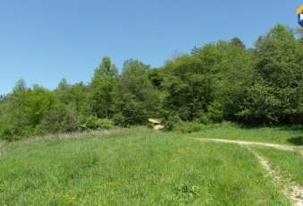 Działka Sprzedam podkarpackie Bircza Żohatyn-2