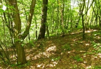 Działka Sprzedam podkarpackie Bircza Żohatyn-3