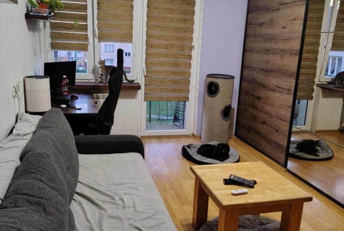 Mieszkanie na sprzedaż w Sochaczew Boryszew Pierwszy Franciszka Żwirki i Stanisława Wigury o powierzchni 38 mkw