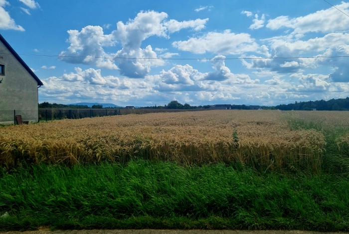 Działka na sprzedaż w Strumień  Pruchna, ul. Kopanina o powierzchni 2791 mkw