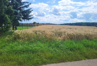 Działka Sprzedam śląskie Strumień -1