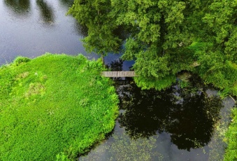 Dom sprzedaż Staroźreby 600 mkw Dom Sprzedam mazowieckie Staroźreby -3