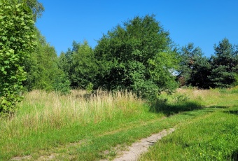 Działka na sprzedaż Łęczyce  834476