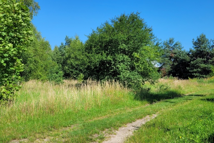Działka na sprzedaż w Łęczyce Bożepole Małe Zielna 16 o powierzchni 920 mkw