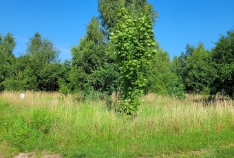 Działka sprzedaż Łęczyce Bożepole Małe Zielna 16 920 mkw Działka Sprzedam pomorskie Łęczyce Bożepole Małe-1