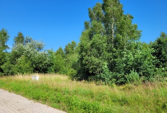 Działka sprzedaż Łęczyce Bożepole Małe Zielna 16 920 mkw Działka Sprzedam pomorskie Łęczyce Bożepole Małe-3