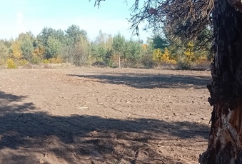 Działka sprzedaż Żabia Wola Słubica Dobra Graniczna 1530 mkw Działka Sprzedam mazowieckie Żabia Wola Słubica Dobra-1