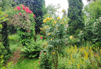 Dom Sprzedam śląskie Zabrze -2