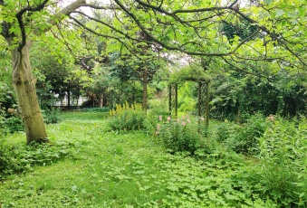 Dom Sprzedam śląskie Zabrze -1