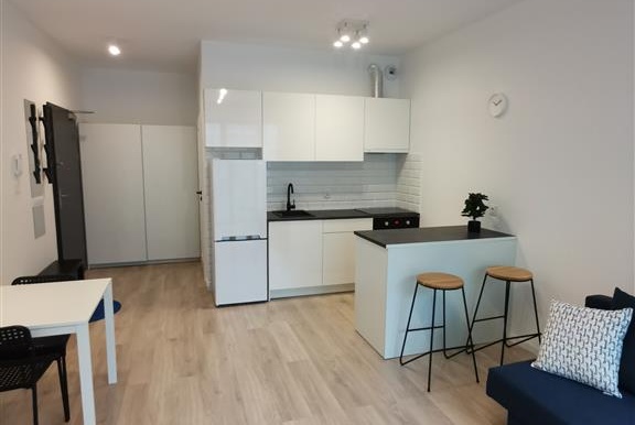 Mieszkanie na wynajem w Kraków Krowodrza Wizjonerów o powierzchni 28 mkw