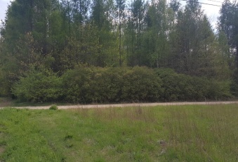 Działka sprzedaż Rajgród 4847 mkw Działka Sprzedam podlaskie Rajgród -2