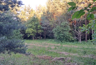 Działka na sprzedaż Psary  834555