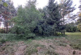 Działka sprzedaż Psary Strzyżowice Ogrodowa 1171 mkw Działka Sprzedam śląskie Psary Strzyżowice-1