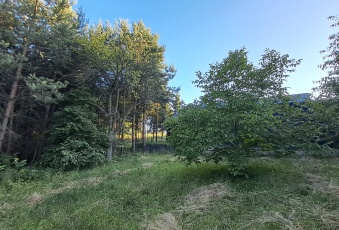 Działka sprzedaż Psary Strzyżowice Ogrodowa 1171 mkw Działka Sprzedam śląskie Psary Strzyżowice-3