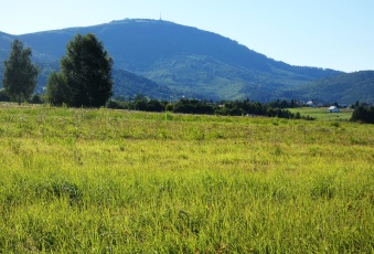 Działka sprzedaż Lipowa Leśna Promienna 909 mkw Działka Sprzedam śląskie Lipowa Leśna-3