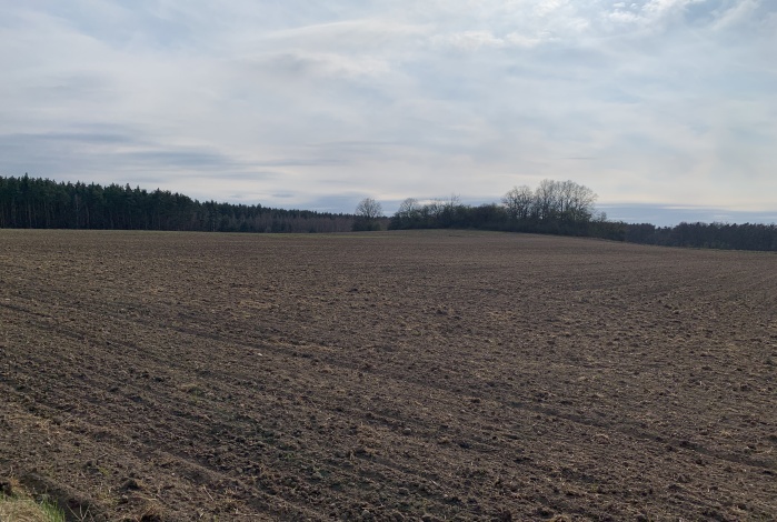 Działka na sprzedaż w Kunice Pątnów Legnicki  o powierzchni 48209 mkw