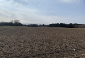 Działka sprzedaż Kunice Pątnów Legnicki 48209 mkw Działka Sprzedam dolnośląskie Kunice Pątnów Legnicki-1