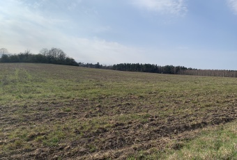 Działka sprzedaż Kunice Pątnów Legnicki 48209 mkw Działka Sprzedam dolnośląskie Kunice Pątnów Legnicki-2