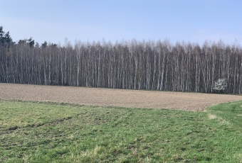 Działka sprzedaż Kunice Pątnów Legnicki 48209 mkw Działka Sprzedam dolnośląskie Kunice Pątnów Legnicki-3