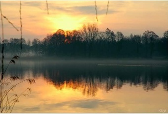 Dom na sprzedaż Pasym  833998