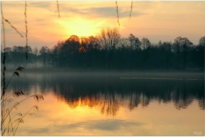 Dom na sprzedaż w Pasym  Michałki o powierzchni 122 mkw