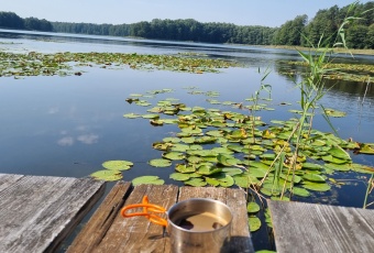 Działka sprzedaż Skoki Sławica ul. Wiejska 12 785 mkw Działka Sprzedam wielkopolskie Skoki -1