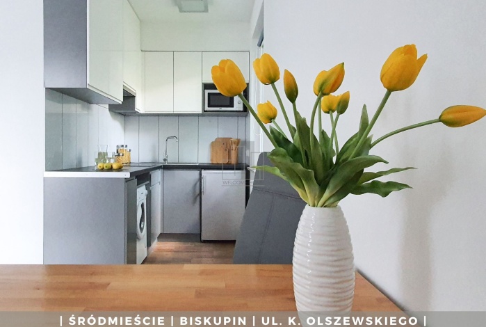 Mieszkanie na wynajem w Wrocław Śródmieście Karola Olszewskiego 19 o powierzchni 25 mkw