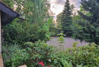 Dom sprzedaż Puszczykowo Stare Puszczykowo 250 mkw Dom Sprzedam wielkopolskie Puszczykowo Stare Puszczykowo-3