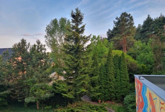 Dom sprzedaż Puszczykowo Stare Puszczykowo 250 mkw Dom Sprzedam wielkopolskie Puszczykowo Stare Puszczykowo-1