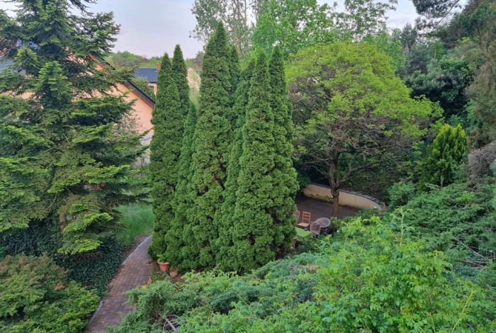 Dom na sprzedaż w Puszczykowo Stare Puszczykowo  o powierzchni 250 mkw