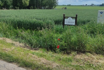 Działka sprzedaż Krasnystaw Kościuszki 3000 mkw Działka Sprzedam lubelskie Krasnystaw -2