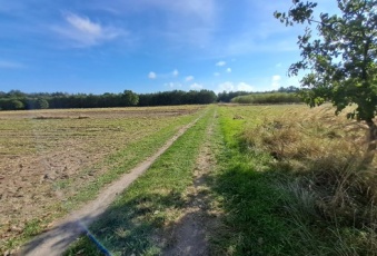 Działka sprzedaż Ulan-Majorat Stanisławów 11100 mkw Działka Sprzedam lubelskie Ulan-Majorat Stanisławów-1
