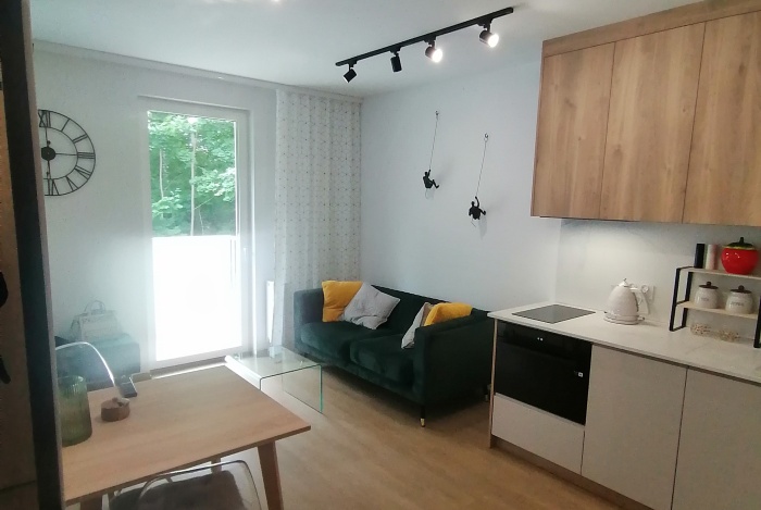 Mieszkanie na wynajem w Łódź Śródmieście Pomorska 175 o powierzchni 30 mkw