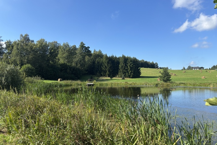 Działka na sprzedaż w Pasłęk  Rogowo o powierzchni 1028 mkw