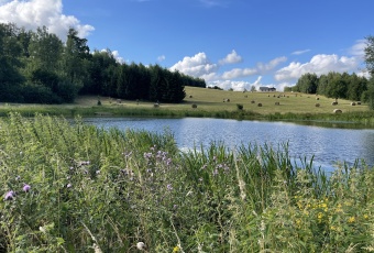 Działka sprzedaż Pasłęk Rogowo 1028 mkw Działka Sprzedam warmińsko-mazurskie Pasłęk -3