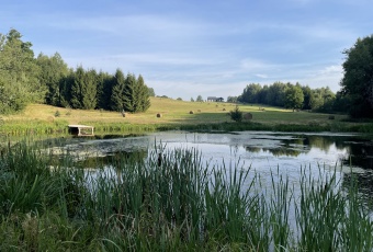 Działka sprzedaż Pasłęk Rogowo 1028 mkw Działka Sprzedam warmińsko-mazurskie Pasłęk -2