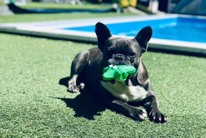 Dom na sprzedaż w Międzyzdroje   o powierzchni 495 mkw