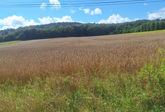 Działka Sprzedam małopolskie Zielonki Zielonki-1
