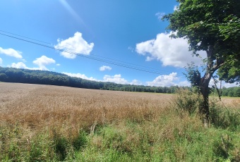 Działka Sprzedam małopolskie Zielonki Zielonki-3